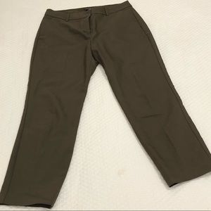 Express Columist Pants